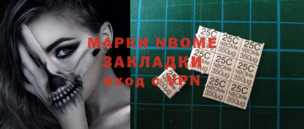 хмурый Алексин