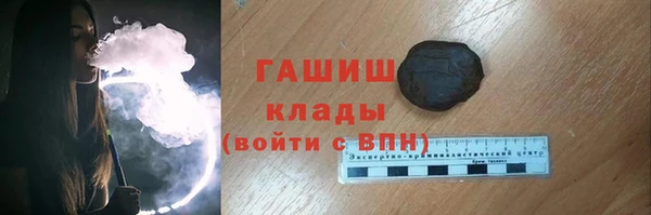 хмурый Алексин