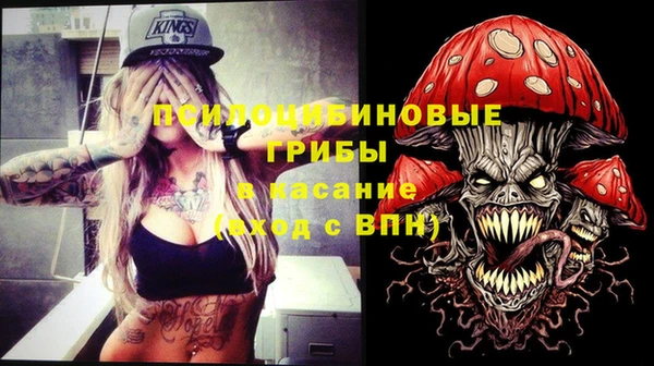 МДПВ Алексеевка