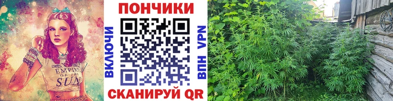 Канабис AK-47  купить наркоту  Берёзовка 